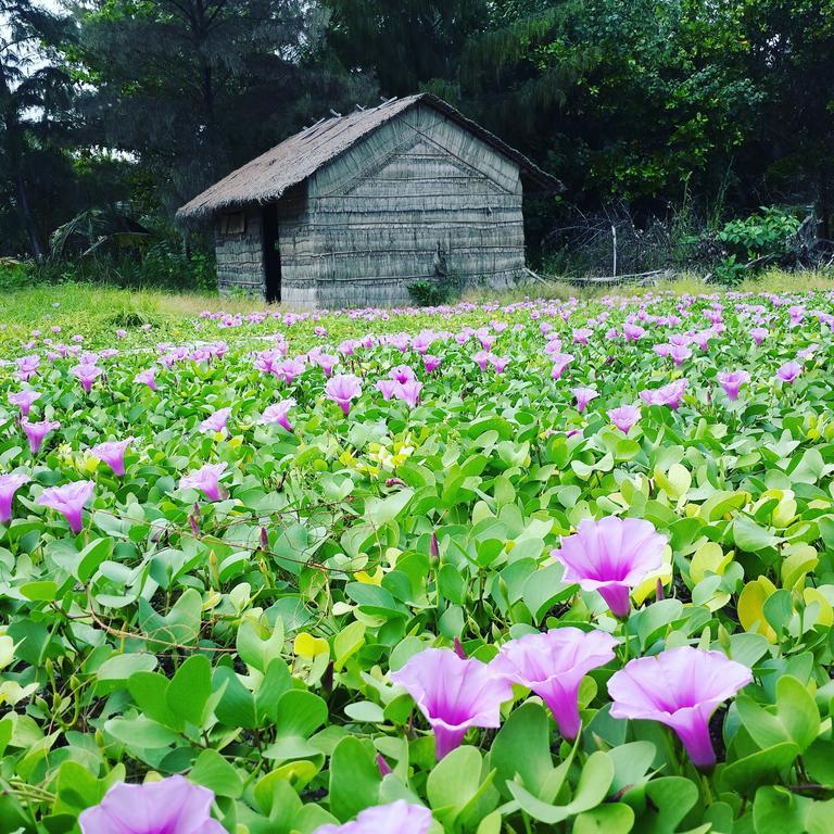 Summer Home Kelaa ภายนอก รูปภาพ